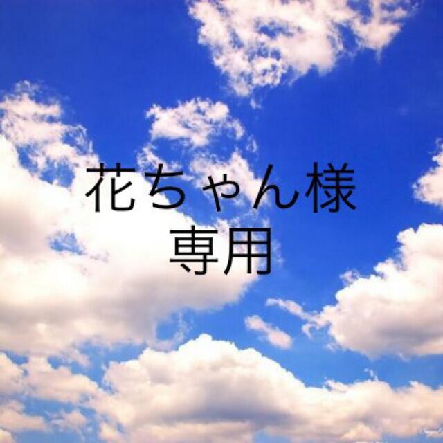 大人気新作 ニナファームジャポン サンテアージュ その他