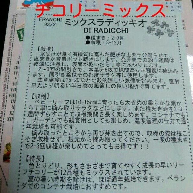 リンリンさま〉専用野菜の種子 その他のその他(その他)の商品写真