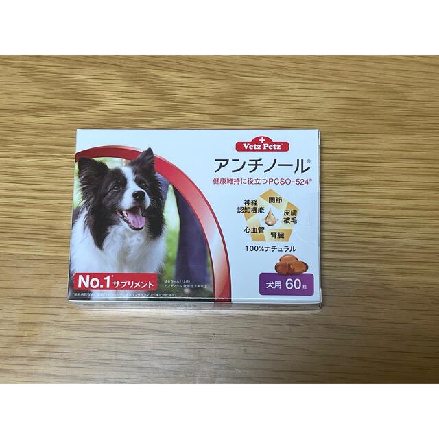 犬用アンチノール 60粒 1箱