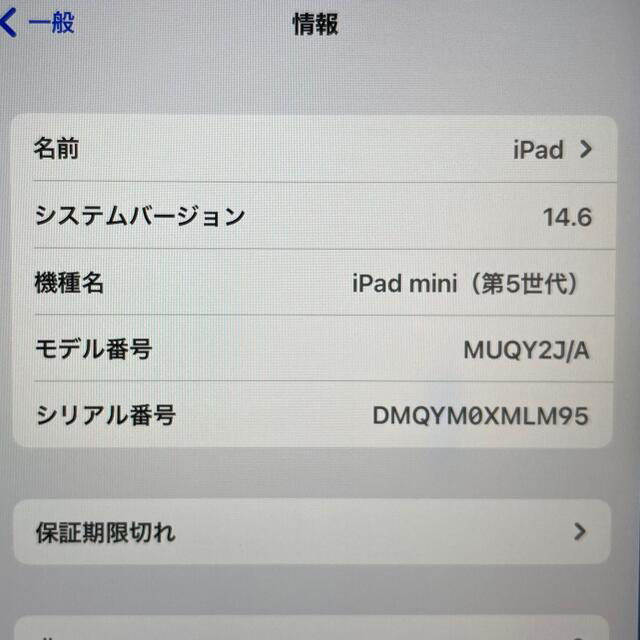 iPad mini第5世代 64GB ゴールド 2