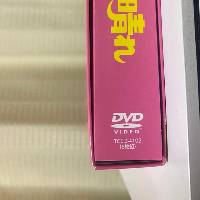 Johnny's(ジャニーズ)の《みー258様専用》花のち晴れ　DVDボックス+ファイル2枚 エンタメ/ホビーのタレントグッズ(アイドルグッズ)の商品写真