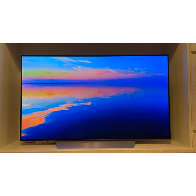 LG 有機EL 55型 OLED55C7P ※引き取り限定 | visadoctor.in