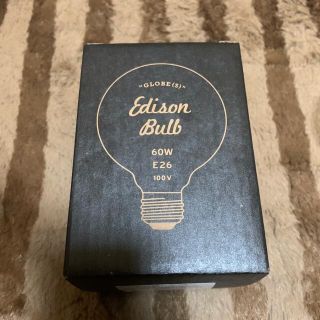 Edison Bulb Globe M エジソンバルブ M E26/60W (蛍光灯/電球)