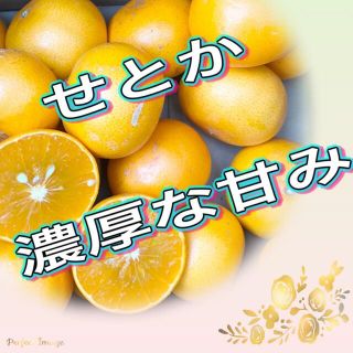 せとか  高級みかん   2kg以上(フルーツ)