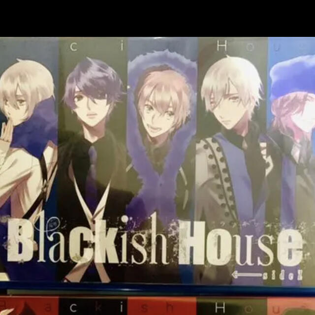 大人気定番商品 Blackish セット ソフト House - PCゲーム