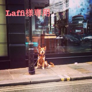 Laffi様専用(ネックレス)