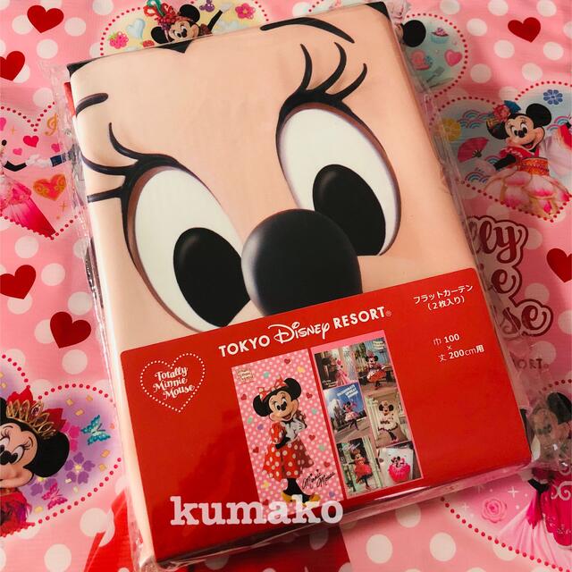 Disney - 【新商品】フラットカーテン*トータリーミニー*ディズニー