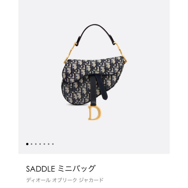 imcatjp様専用】SADDLE ミニバッグ 刺繍入りストラップセット 2023超