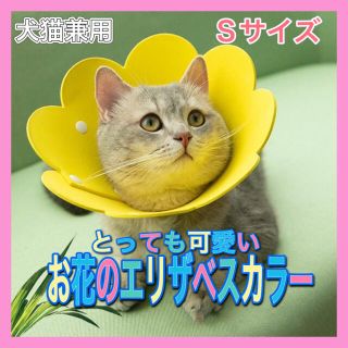 【送料無料】犬猫兼用エリザベスカラー　黄色　イエロー　S◎(犬)