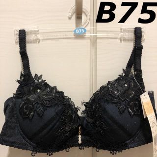 ワコール(Wacoal)のWing/Wacoal  ウイング/ワコール　レシアージュ　ブラジャー　B75(ブラ)