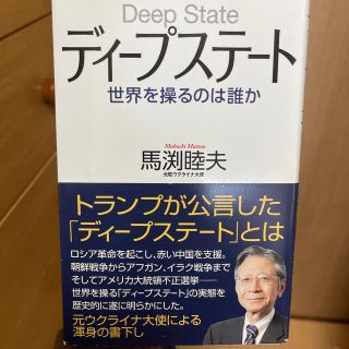 ディープステート 世界を操るのは誰か(文学/小説)