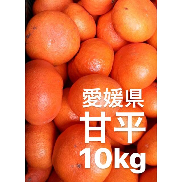 愛媛県産　甘平　柑橘　10kg