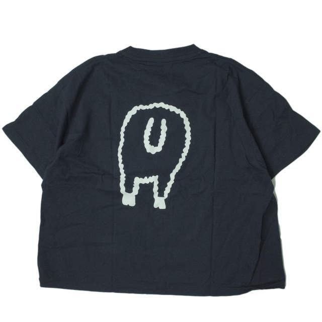 WOOLRICH(ウールリッチ)のWOOLRICH x BEAMS BOY プリントTシャツ スペシャル レディースのトップス(Tシャツ(半袖/袖なし))の商品写真