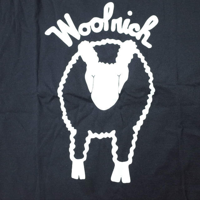 WOOLRICH(ウールリッチ)のWOOLRICH x BEAMS BOY プリントTシャツ スペシャル レディースのトップス(Tシャツ(半袖/袖なし))の商品写真