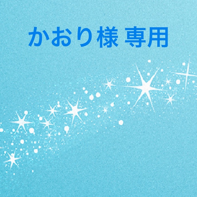 クリスマス特集2022 かおり様 専用出品 その他 - groupe-savoy.fr