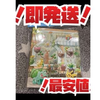 即発送 ポケモンカード  コレクションファイル　Grassy Gardening(Box/デッキ/パック)