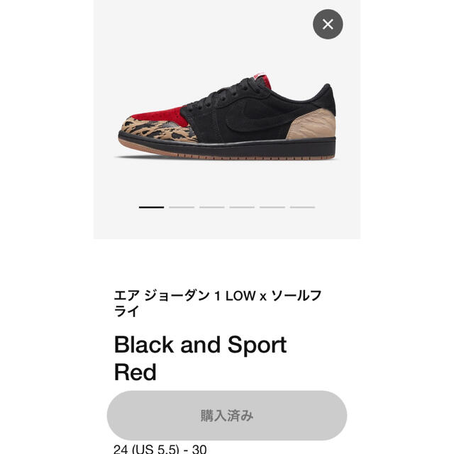ナイキSole Fly × Nike Air Jordan 1 Low 24