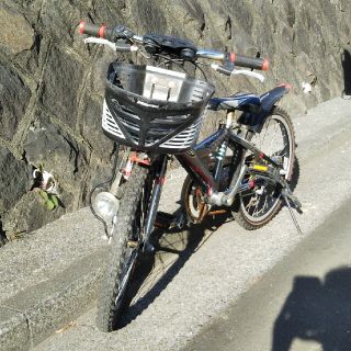 ブリヂストン(BRIDGESTONE)のブリジストン 20インチ 自転車(男の子用) 横浜(自転車)