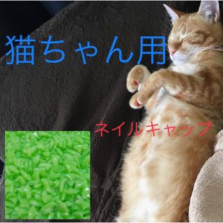 猫 ネイル 爪 カバー キャップ 爪とぎ防止  新品未使用  蛍光グリーン　緑(猫)