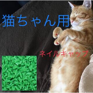猫 ネイル 爪 カバー キャップ 爪とぎ防止  新品未使用  グリーン　緑(猫)
