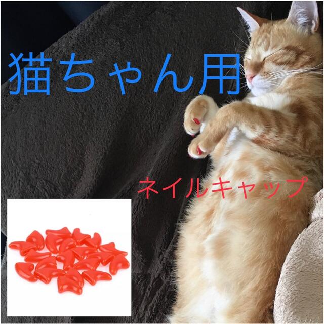 猫 ネイル 爪 カバー キャップ 爪とぎ防止  新品未使用  オレンジ　橙 その他のペット用品(猫)の商品写真