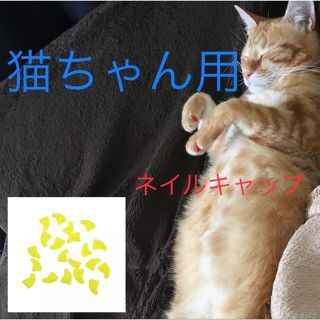 猫 ネイル 爪 カバー キャップ 爪とぎ防止  新品未使用  蛍光イエロー　黄色(猫)