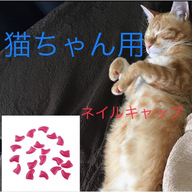 猫 ネイル 爪 カバー キャップ 爪とぎ防止  新品未使用  ピンク　桃色 その他のペット用品(猫)の商品写真