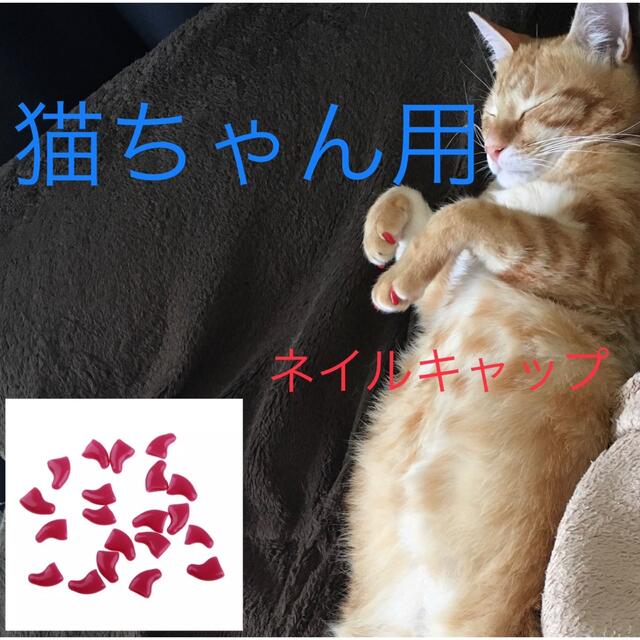 猫 ネイル 爪 カバー キャップ 爪とぎ防止  新品未使用  レッド　赤 その他のペット用品(猫)の商品写真