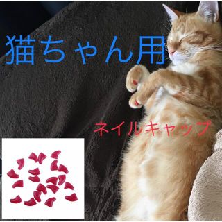 猫 ネイル 爪 カバー キャップ 爪とぎ防止  新品未使用  レッド　赤(猫)