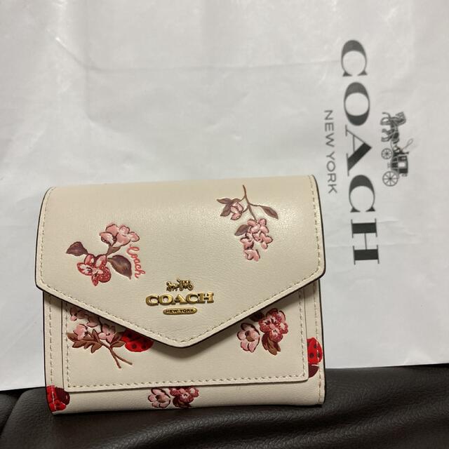 COACH コーチ　新品　折財布　てんとう虫ファッション小物