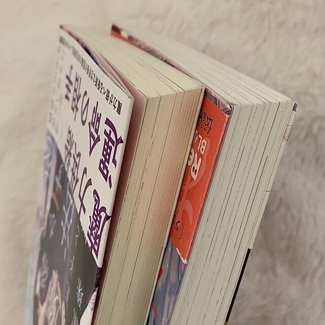BL小説 セット エンタメ/ホビーの本(ボーイズラブ(BL))の商品写真