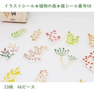 外国製★イラストシール★植物の森★箱シール番号48(シール)