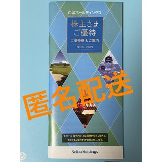 セイブヒャッカテン(西武百貨店)の西武ホールディングス　株主優待券1冊　未使用(その他)