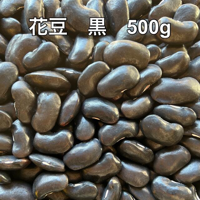 花豆　黒　500g 食品/飲料/酒の食品(野菜)の商品写真