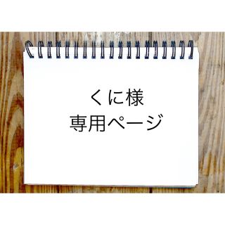 サンダイメジェイソウルブラザーズ(三代目 J Soul Brothers)のくに様専用です(その他)