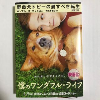 野良犬トビーの愛すべき転生(文学/小説)