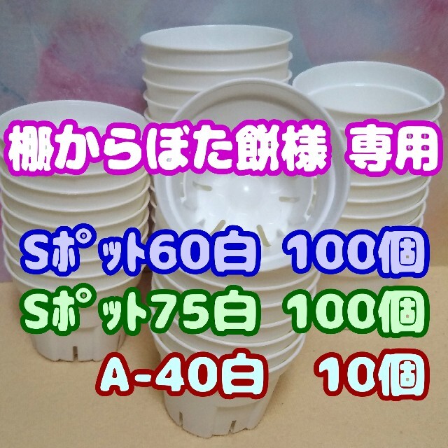 【スリット鉢】Ｓポット丸型60＆75白各100個他 プレステラ 多肉植物 プラ鉢