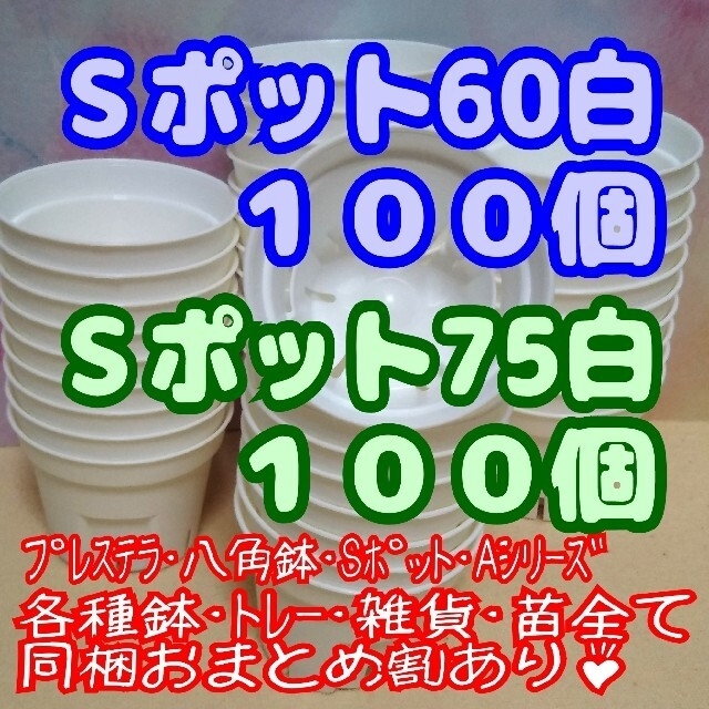 【スリット鉢】Ｓポット丸型60＆75白各100個他 プレステラ 多肉植物 プラ鉢 ハンドメイドのフラワー/ガーデン(プランター)の商品写真