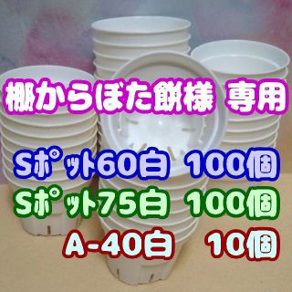 【スリット鉢】Ｓポット丸型60＆75白各100個他 プレステラ 多肉植物 プラ鉢(プランター)