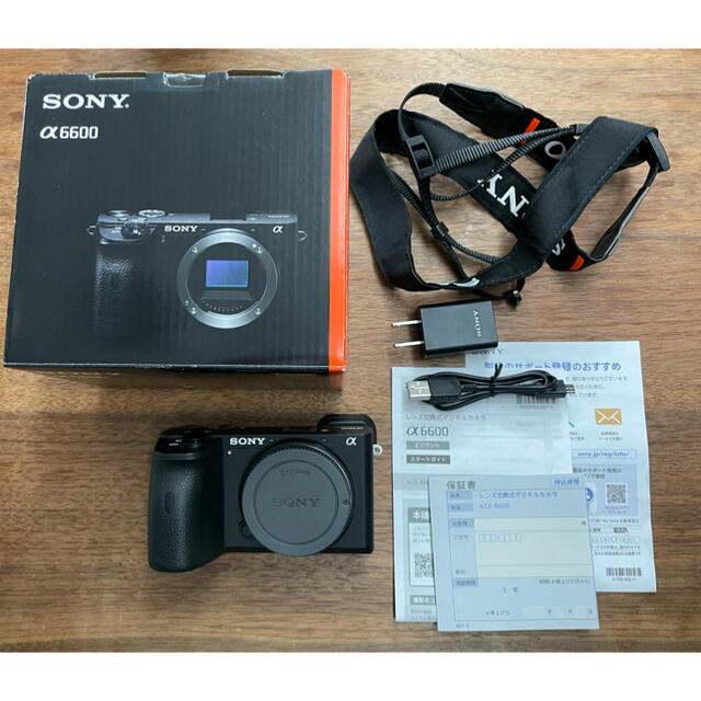 20191101代表カラー【美品】SONY ミラーレス一眼カメラ α6600