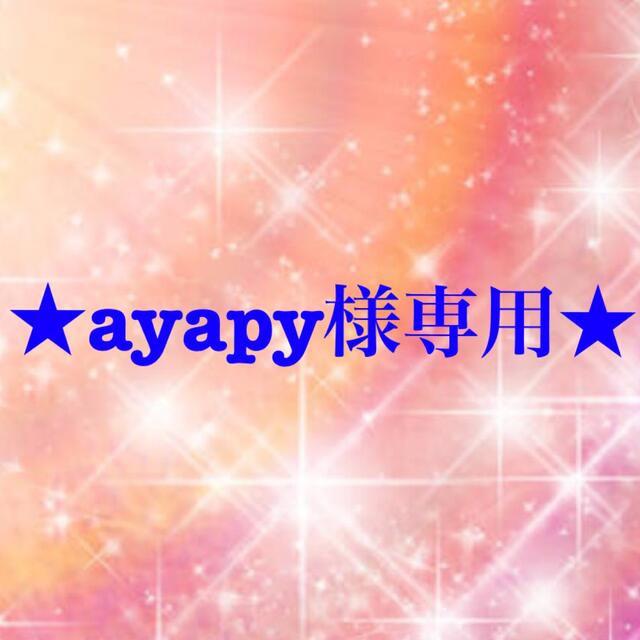 Wacoal(ワコール)のayapy様専用 その他のその他(その他)の商品写真