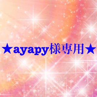 ワコール(Wacoal)のayapy様専用(その他)