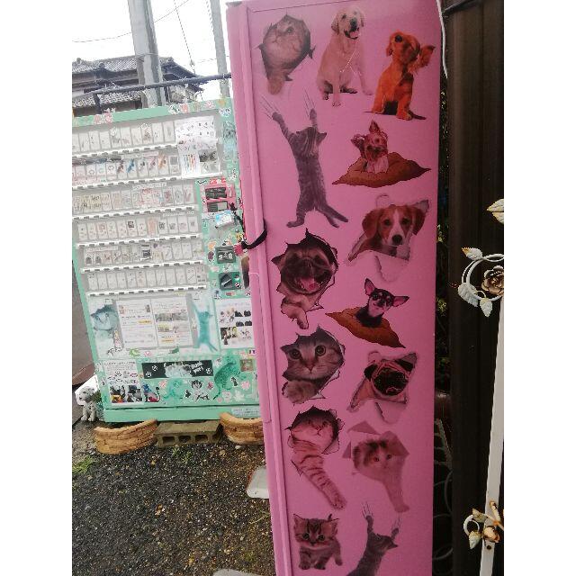 猫 シール 落ちる～! ねこちゃんデカシール ウォ―ルステッカー n6 その他のペット用品(猫)の商品写真