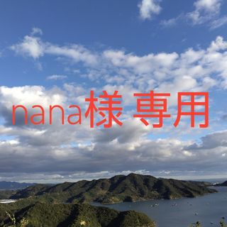 nana様専用 洗える袷着物(着物)