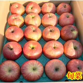 りんご  赤秀Aサンふじ   青森県産   10kg(フルーツ)