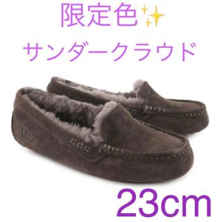 アグ(UGG)の新作 ウォータープルーフ UGG アンスレー サンダークラウド US6(スリッポン/モカシン)