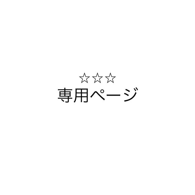 メール便対応! 〈専用出品です〉ありがとうございます