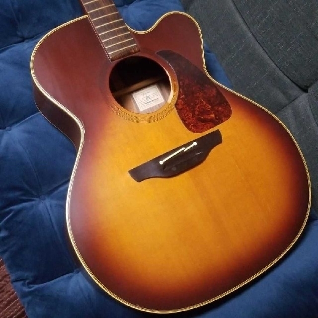 Takamine NPT-012BS 　長渕剛　モデル