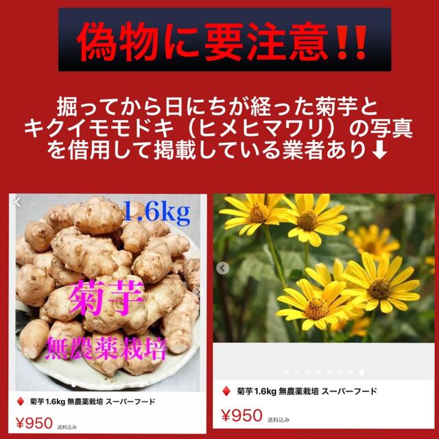 ❤️【菊芋（白）】1.5kg〜新型コロナ「まん延防止」対策にも❣️ 食品/飲料/酒の食品(野菜)の商品写真