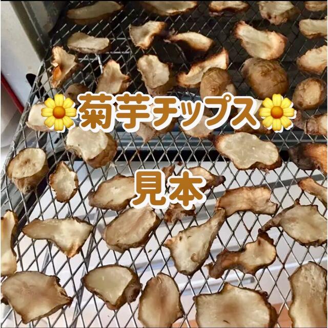 ❤️【菊芋（白）】1.5kg〜新型コロナ「まん延防止」対策にも❣️ 食品/飲料/酒の食品(野菜)の商品写真